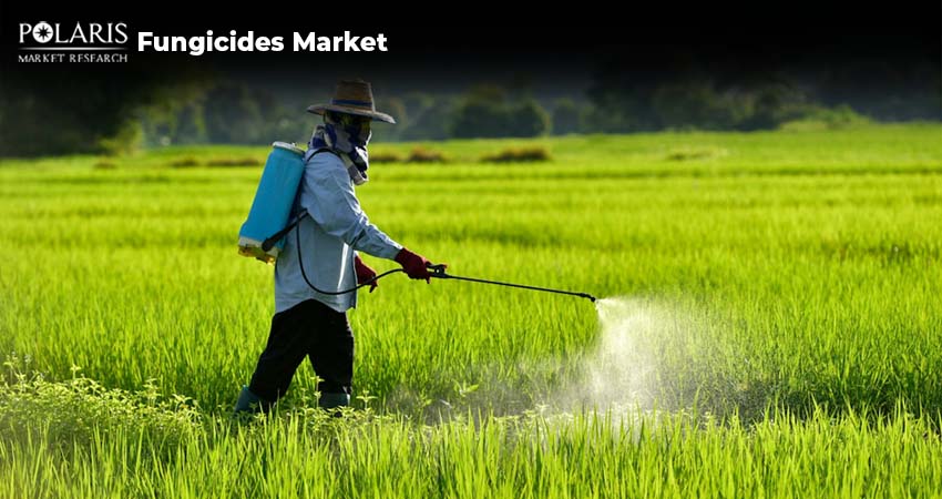 Combating Fungal Threats: Critical Role of Fungicides in Agriculture 